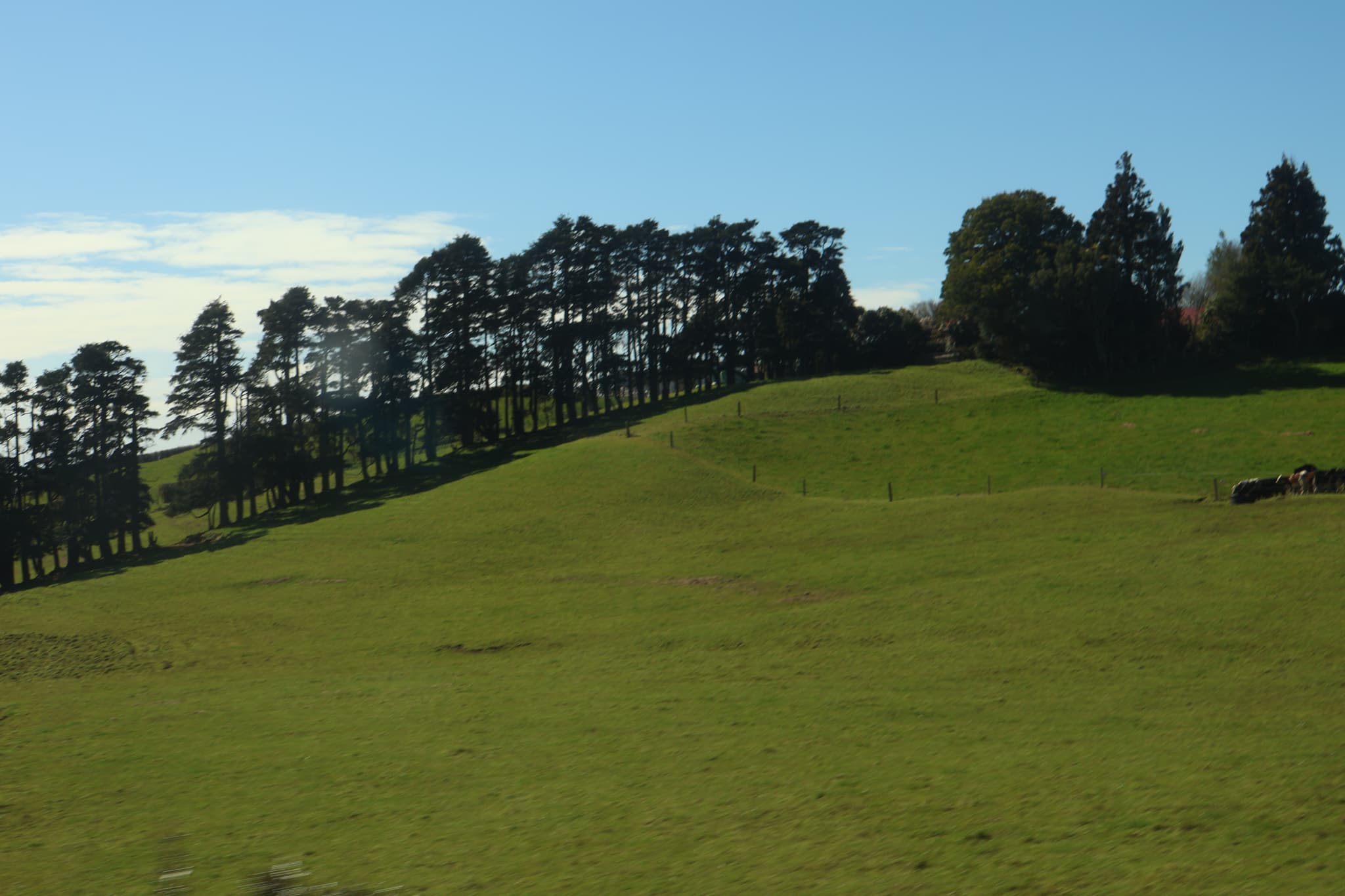Farmland
