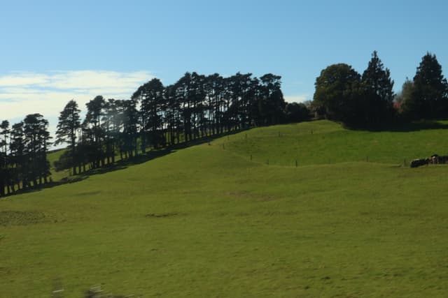 Farmland
